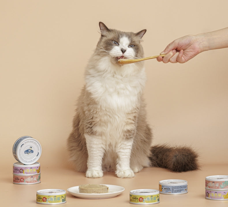 Myths and Truths: Feeding Tuna to Cats