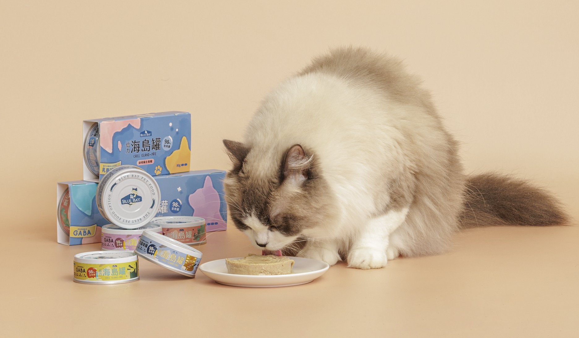 How to store wet food for pets?