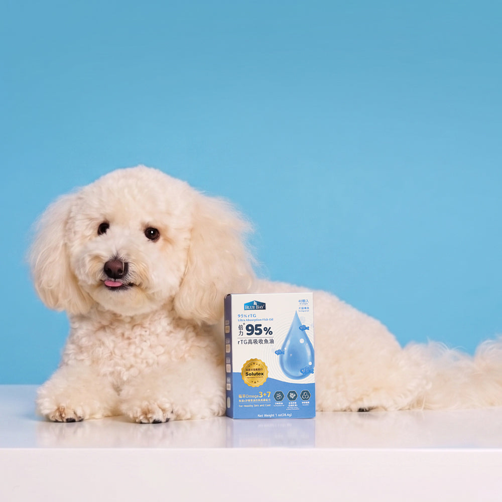 Omega-3 vs. Omega-6 for Dogs & Cats: Complete Guide