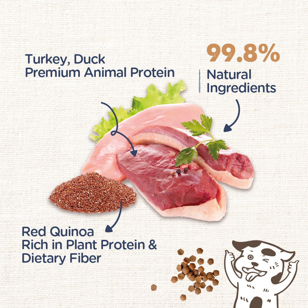 Turkey, Duck with Red Quinoa (Immune Care)
