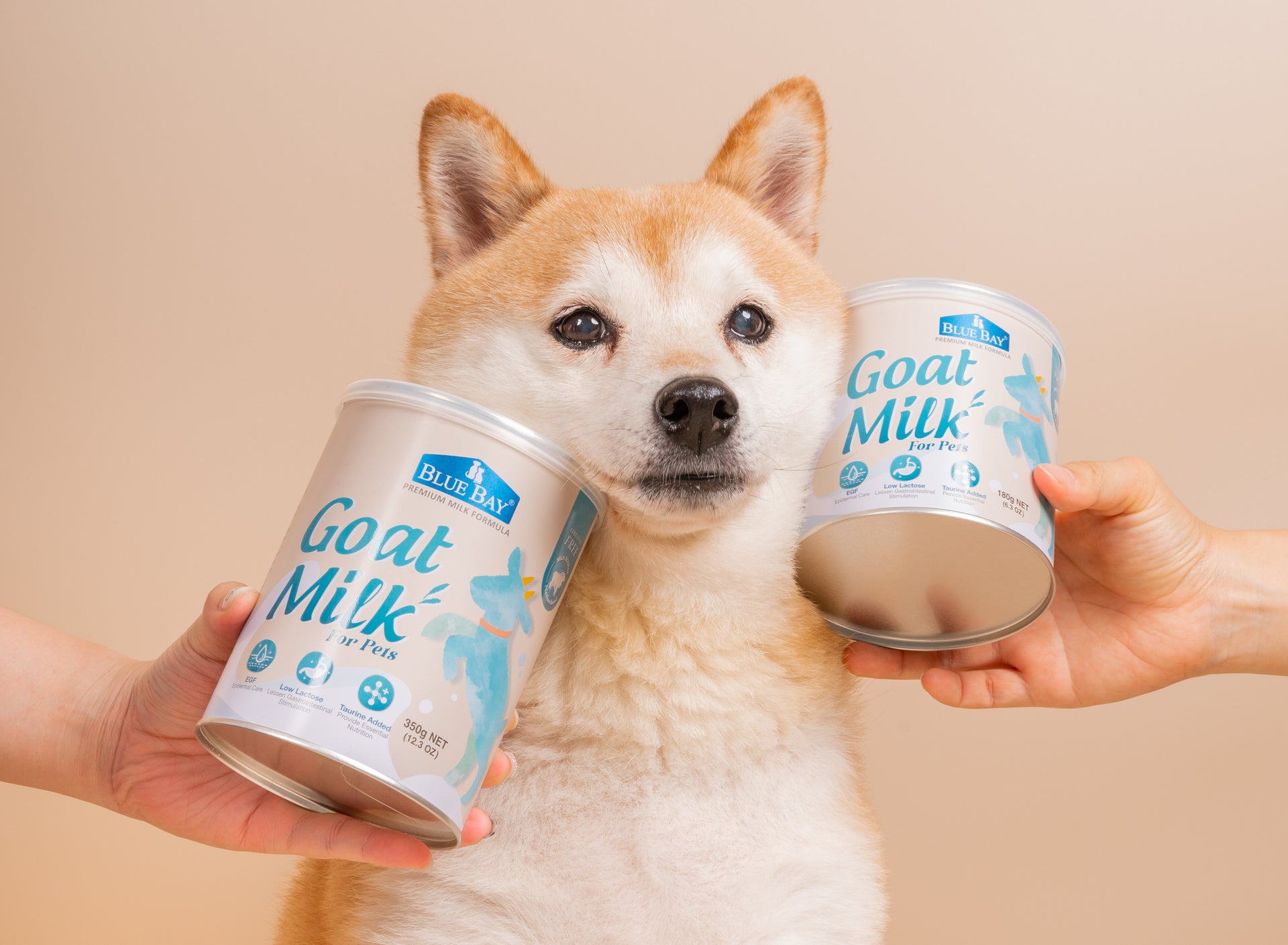 Goat Milk - Main Image