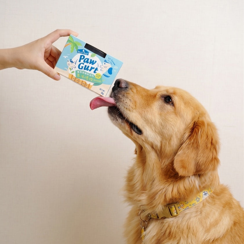 Pawgurt Ice Cream for Pets